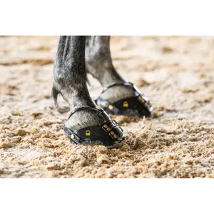 Hipposandale paire Scoot Boots TheraRide image-2
