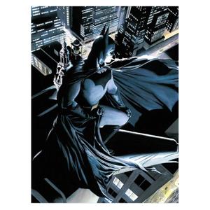 8435450223907-poster-en-verre-sd-toys-dc-comics-batman-noir-bleu-gris-30x40-cm