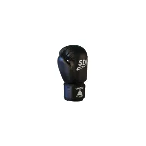 Gants de boxe entraînement SDI Pro image-0