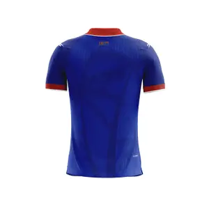 Maillot Domicile Haiti Coupe du Monde 2026 image-1