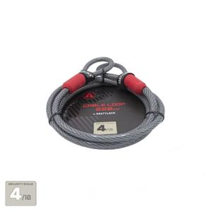 product/s/e/seatylock_cb220_gris_1.jpg