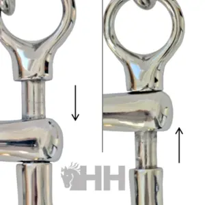 Mors de bridle voor Engelse paard Sefton image-1