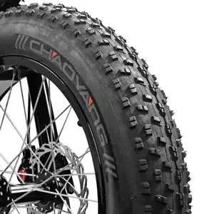 Ελαστικό Selection P2R Chaoyang Big Daddy image-2