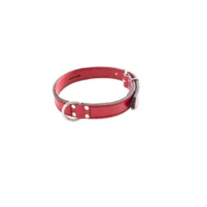 Collar para perro Sellerie Canine Vendéenne Surpiq