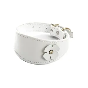 Collar para perro Sellerie Canine Vendéenne Lev Tref
