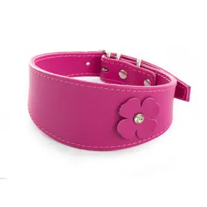 Collar para perro Sellerie Canine Vendéenne Lev Tref