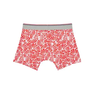 Boxer Serge Blanco image-1