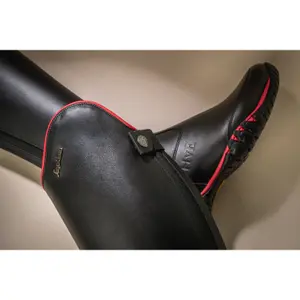 Stivali da equitazione Sergio Grasso Hve LW image-5