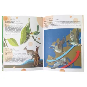 Book for 365 questions and answers Servilibro Ediciones image-1