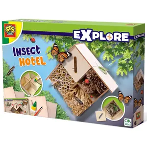 Creative activities for insects SES Creative image-0