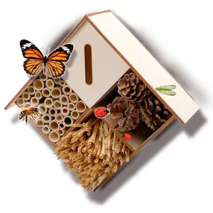 Creative activities for insects SES Creative image-3