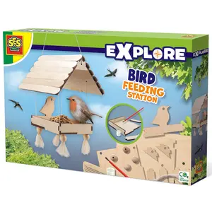 Creative activities bird feeder SES Creative image-0