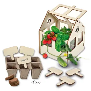 Creative activities vegetable greenhouse SES Creative image-2