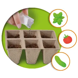 Creative activities vegetable greenhouse SES Creative image-3