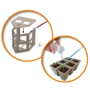 Creative activities vegetable greenhouse SES Creative image-4