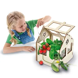 Creative activities vegetable greenhouse SES Creative image-5