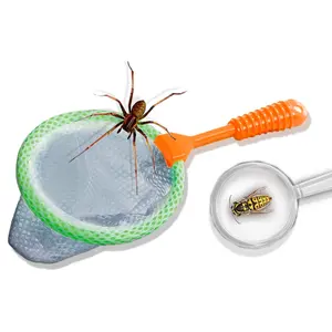 Creative activities insect explorer SES Creative image-2