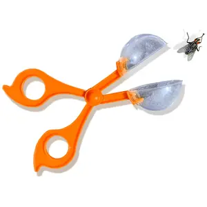 Creative activities insect explorer SES Creative image-3