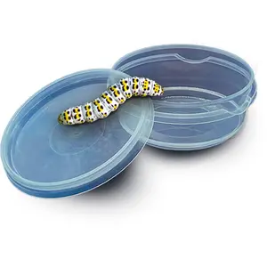 Creative activities insect explorer SES Creative image-5