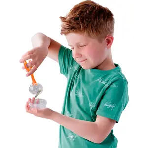 Creative activities insect explorer SES Creative image-6