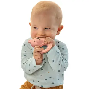 Early learning teething toys SES Creative Tiny Talents Bo l´ours image-2