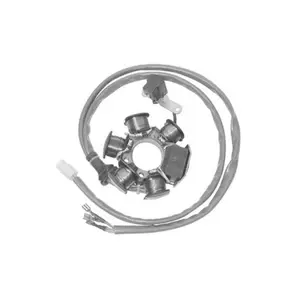 Motor stator ignition SGR Sfera-Zip-Nrg-Typhoon image-0