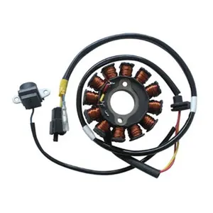 12-pole stator ignition for motor SGR Kymco People S 125/200 image-0