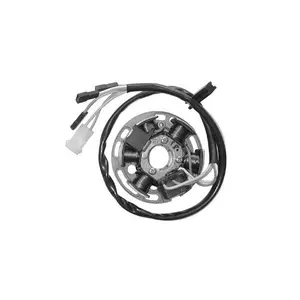Stator tändning motor 6 poler SGR Derbi Senda 50 image-0