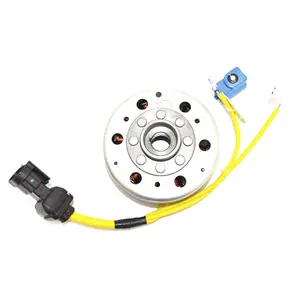 Motorfiets vliegwiel ontsteking SGR Piaggio Leader 125/150 4T image-0