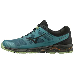 Trail shoes Mizuno wave daichi 5 gtx image-0