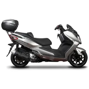 Halter Top Case Scooter Shad Sym Joymax GTS 125/125i/250i/300i (13 bis 21) image-0