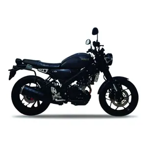 Support valises latérales Shad 3P System Yamaha XSR 125 image-3
