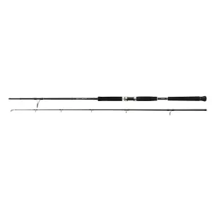 Spinning-Rute Shimano Beastmaster Pilk 40-95g image-0