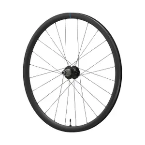 12-Gang-Rad Scheibenbremse center lock Shimano GRX WH-RX880-TL-R12