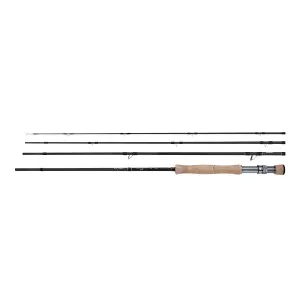 Spinning rods Shimano Biocraft XTC Fly Bg Bug/SW 9'0 #10 image-0