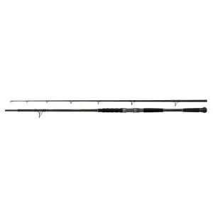 Spinning rods Shimano Beastmaster AX Catfish Lure 150g image-0