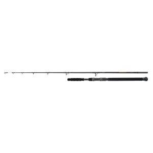 Spinnrute Shimano Beastmaster Catfish Vertical 200g image-0