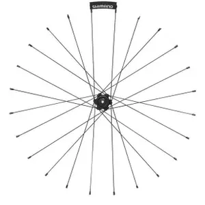 Αριστερά ράφια Shimano WH-RS31-R image-1