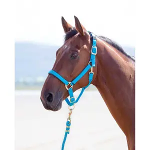 Licol pour cheval Shires Topaz image-1