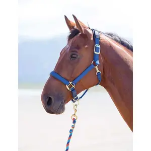 Halfter für Pferd Shires Topaz image-1