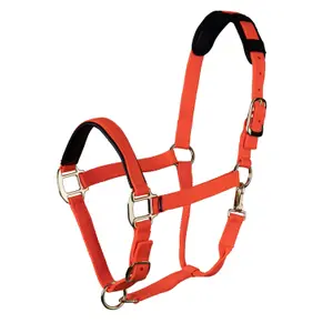 Licol pour cheval Shires Topaz image-0