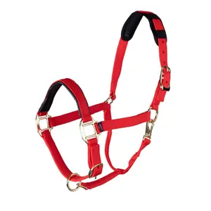Licol pour cheval Shires Topaz image-0