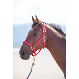 Licol pour cheval Shires Topaz image-1