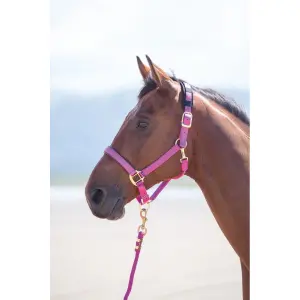 Licol pour cheval Shires Topaz image-0