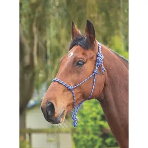 Horse halter with rope control Shires image-1