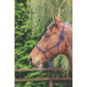 Horse halter with rope control Shires image-1