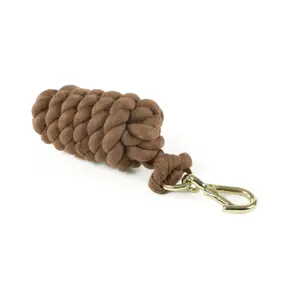 Longier mit Karabiner für Pferde Shires image-0