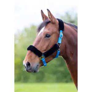 Pferdetrense mit Fleece-Polsterung Shires image-0