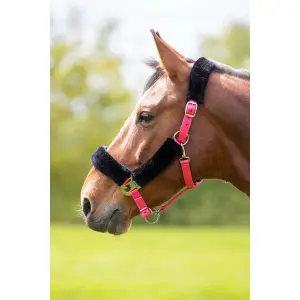 Pferdetrense mit Fleece-Polsterung Shires image-0