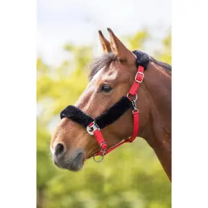Pferdetrense mit Fleece-Polsterung Shires image-0